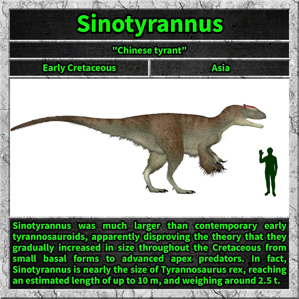 Sinotyrannus