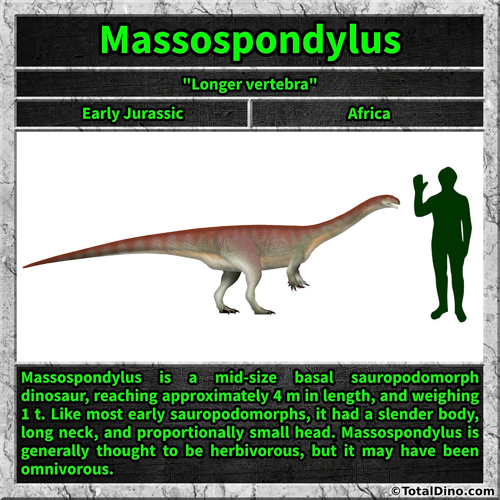 Massospondylus