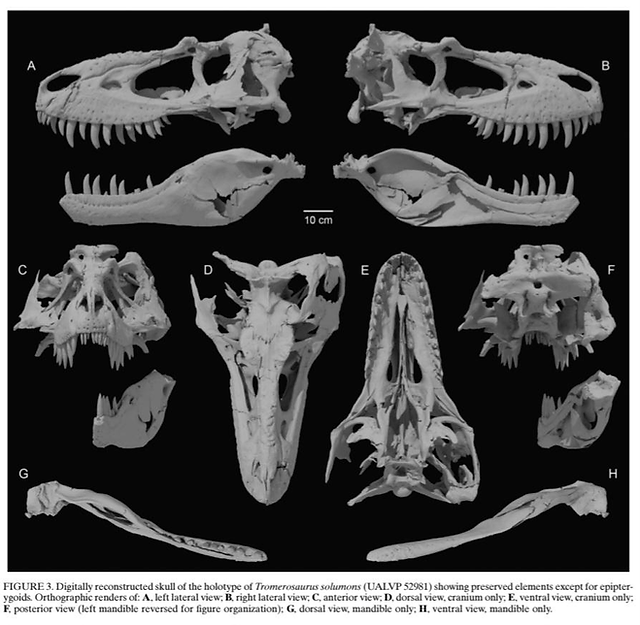 Tromerosaurus