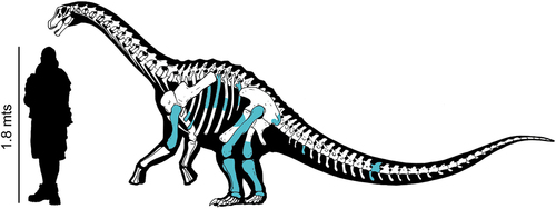 Titanomachya