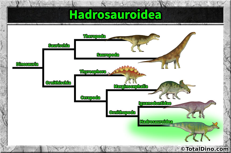 Hadrosauroidea