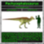 Pachycephalosaurus