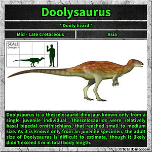 Doolysaurus