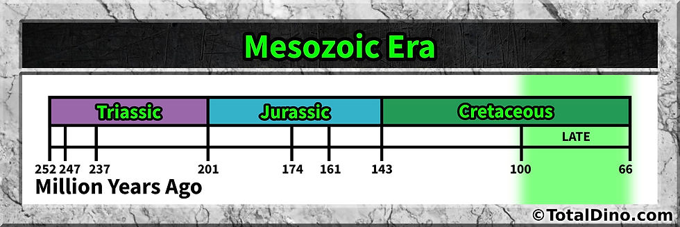 Late Cretaceous
