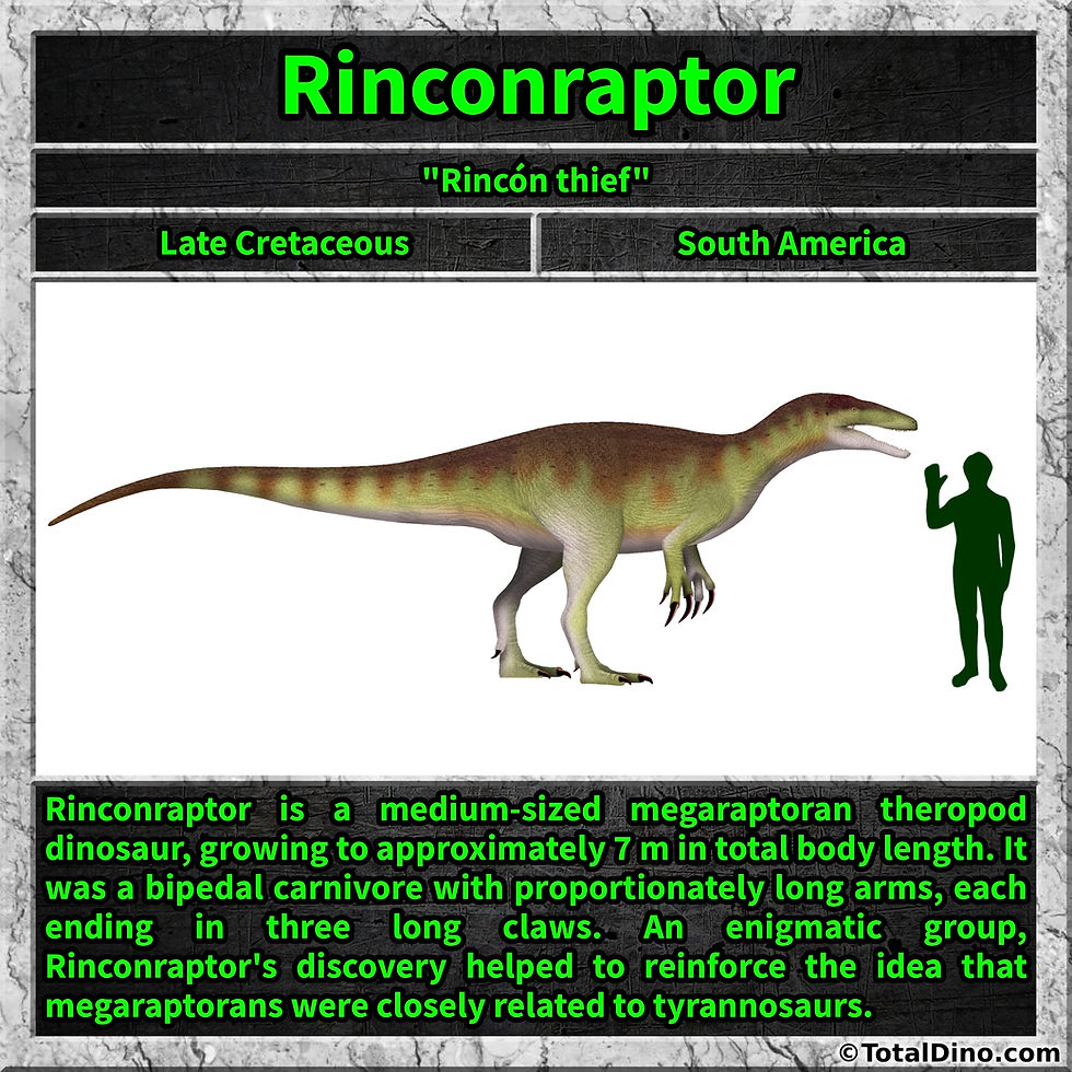 Rinconraptor