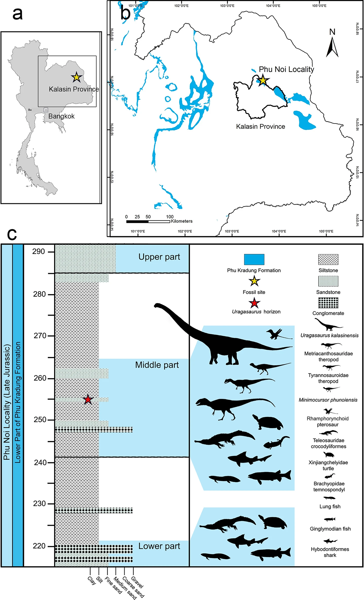 Uragasaurus