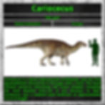 Cariocecus