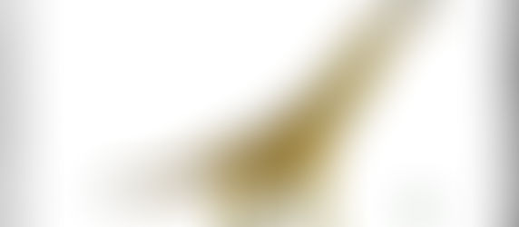 Giraffatitan