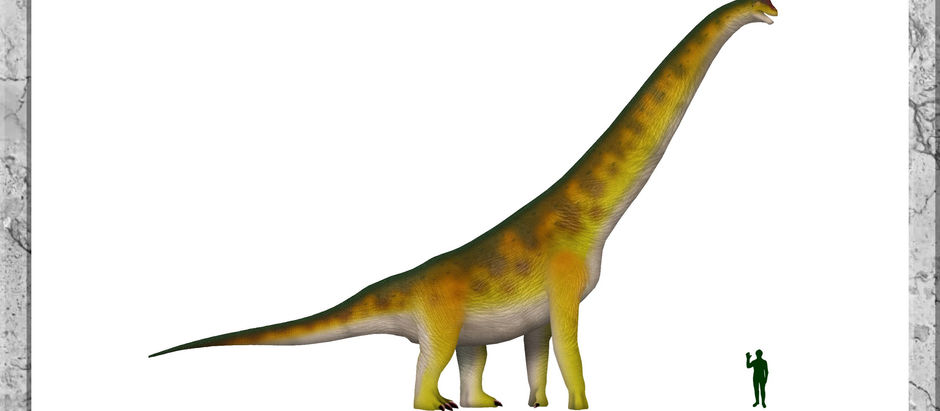 Giraffatitan