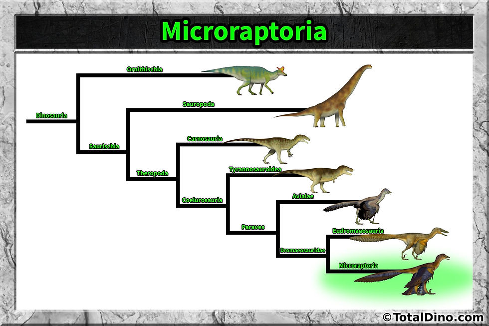 Microraptoria