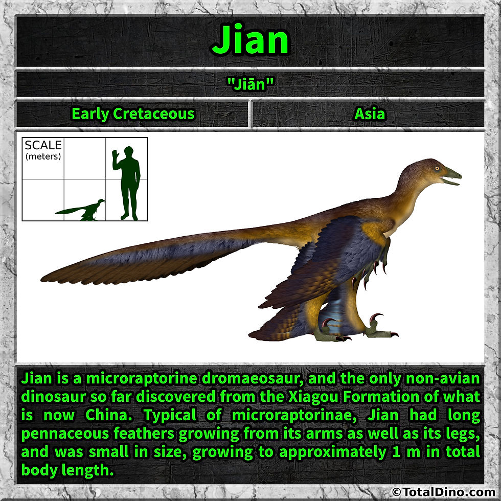 Jian