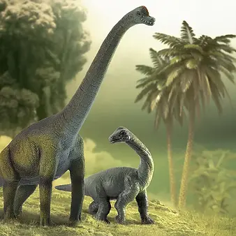 CollectA Brachiosaurus