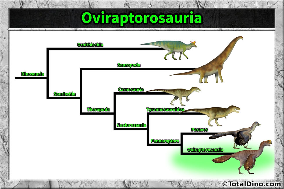 Oviraptorosauria