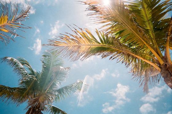 Breathing Life into a New You