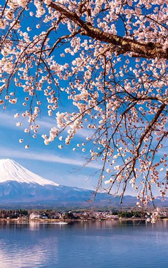 一般社団法人 音楽 アート 一般社団法人春夏秋冬 日本 一般社団法人 音楽 アート 一般社団法人春夏秋冬 日本