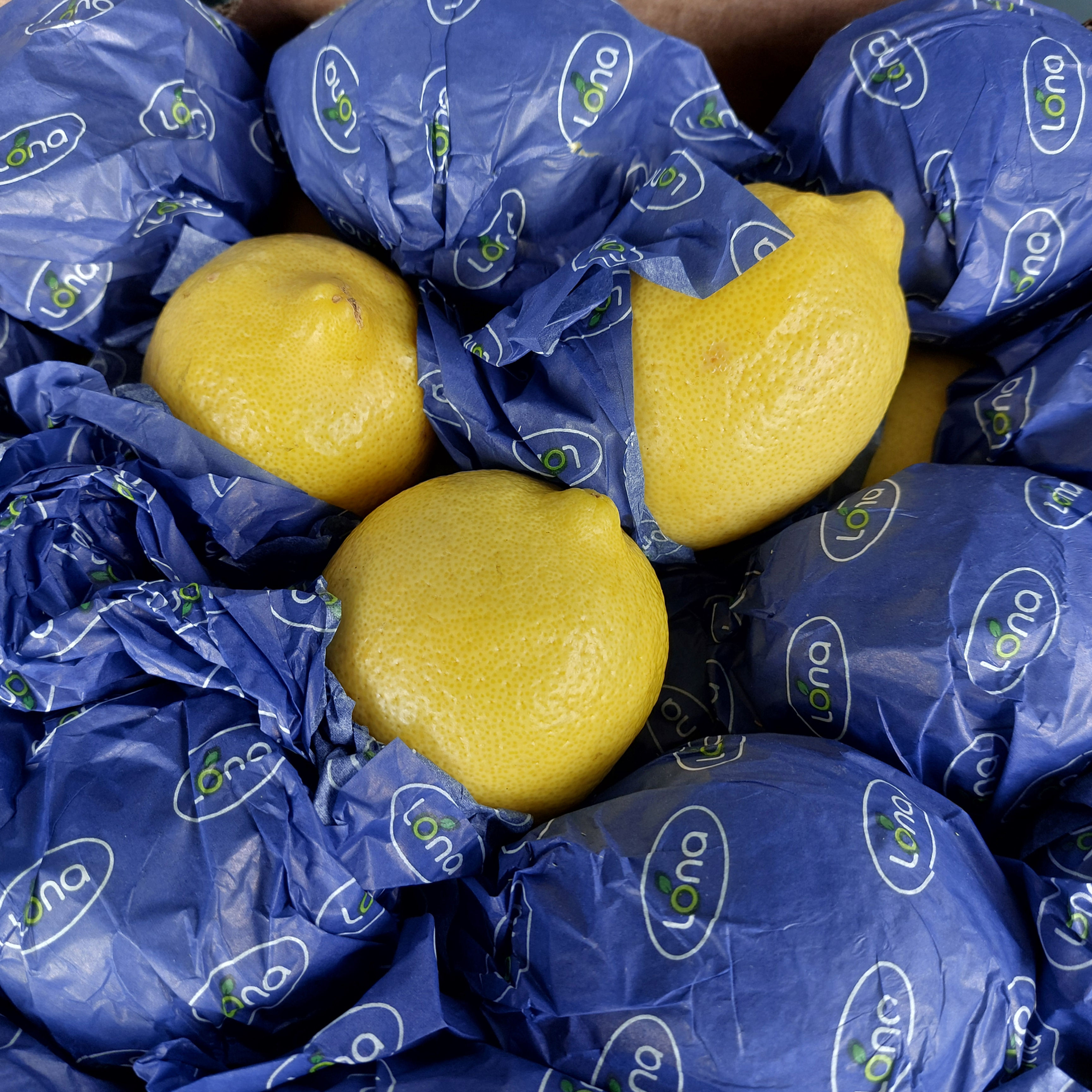 Lemons (3 for £1)
