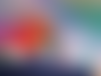 BMW大桐 X 財經專家詹惠珠 理財新書分享會