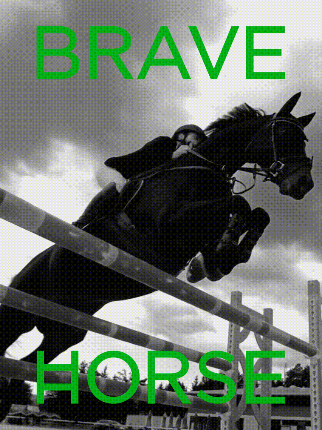 PAGE - BRAVE HORSE