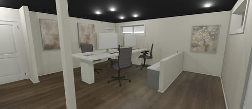 Just Basements 3D renderings