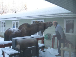 5 Things You Cannot Do In Your Basement On Canada Day