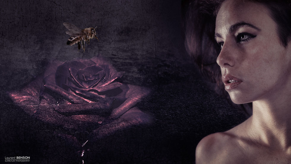 Juliette-bee-LR.jpg