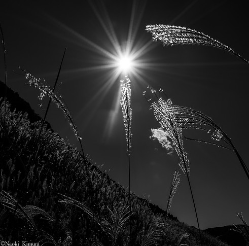 02_let there be light.JPG