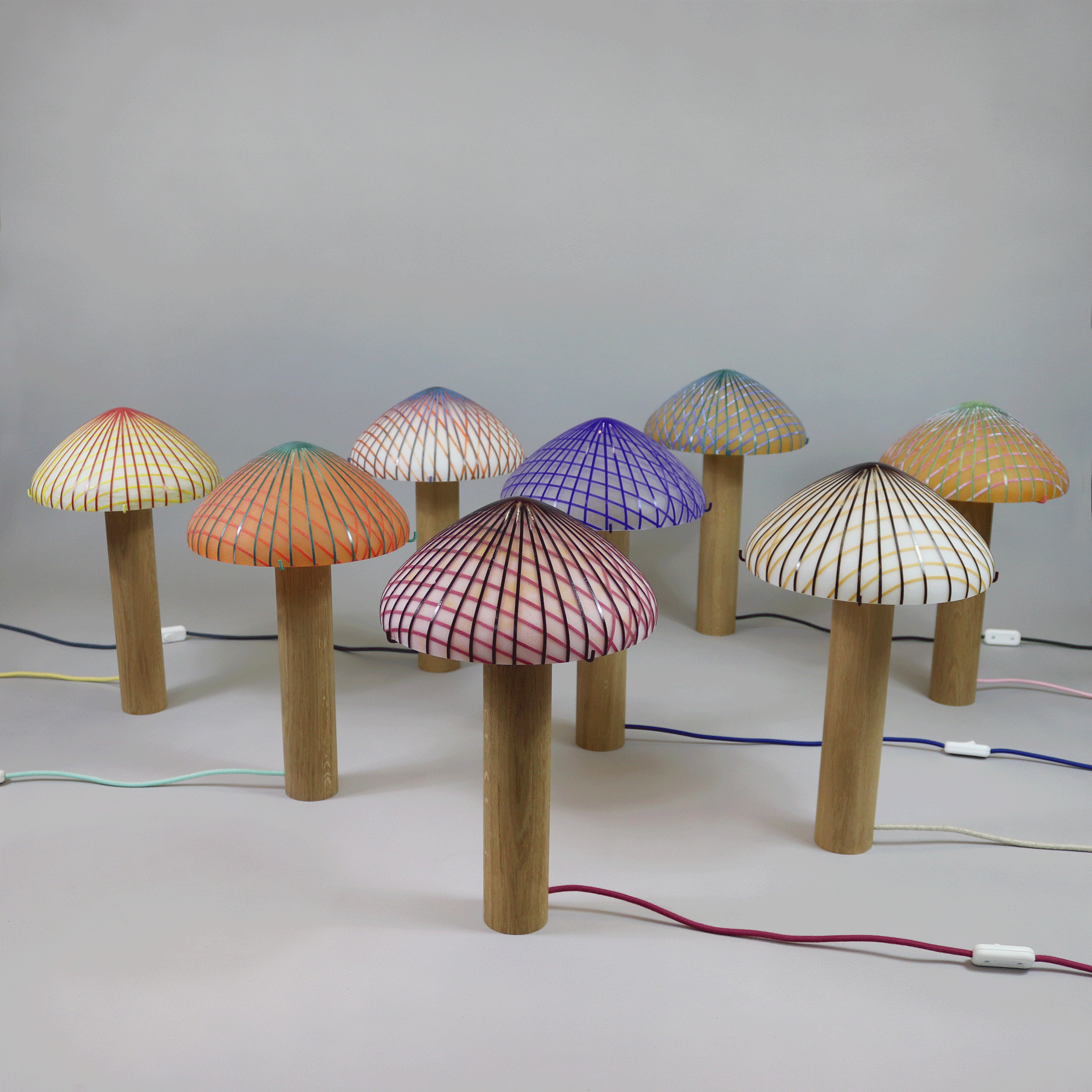 GIF-ENSEMBLE2.gif