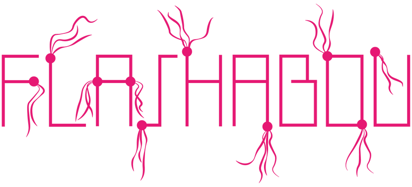 logo flashabou 1-01.png