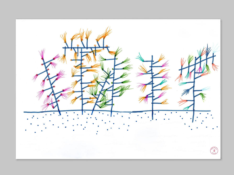 dessin 1_edited.jpg