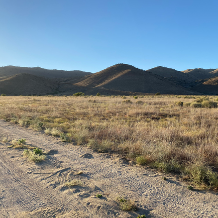 Road Trip Chronicles-Day 5 Part II 