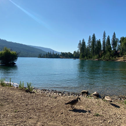 Road Trip Chronicles-Day 3 Part II