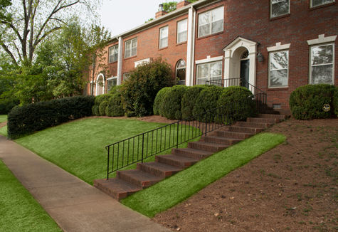 Finished product of a bi-weekly maintenance job.