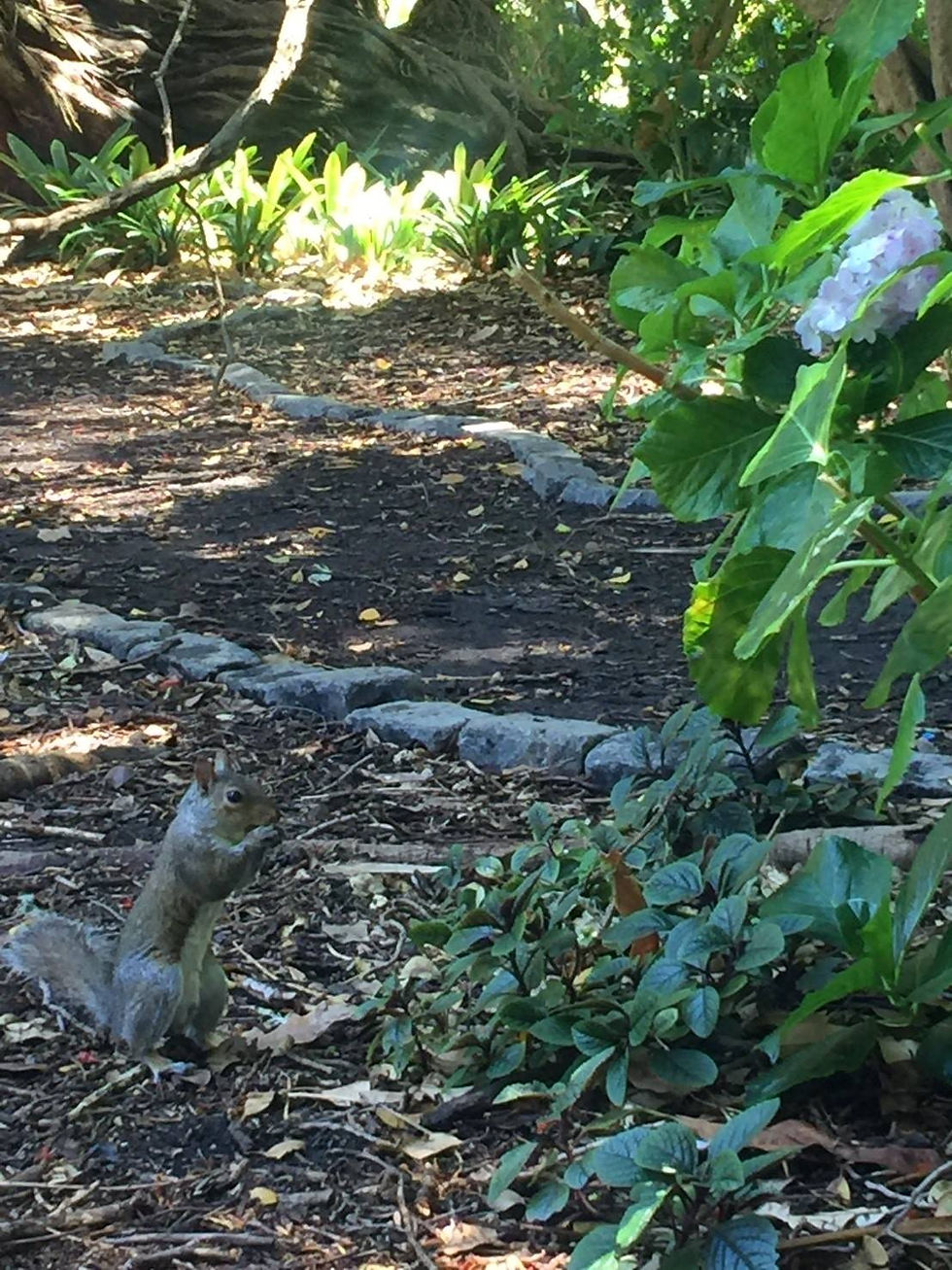 food feeding company's garden