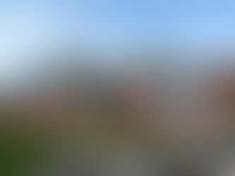 "It looked exactly how I imagined and expected it to."