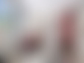 "We referenced the rendering a great deal...My experience with VizSource is always a 10/10"