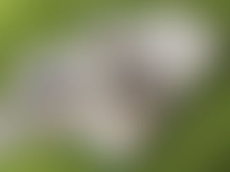 "VizSource can accommodate and walk you through to a stunning finish."