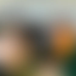 Richtig oder falsch?