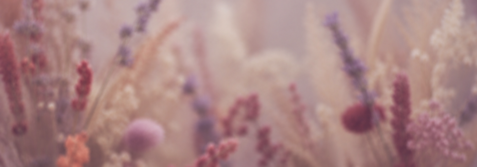 ChatGPT Image 10 juil. 2026, 13_03_46.png