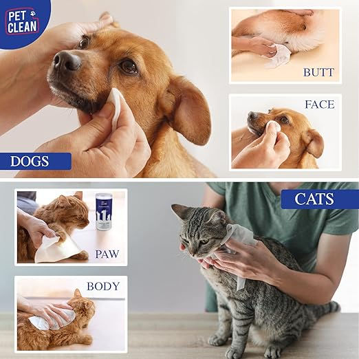 Pet Wipes