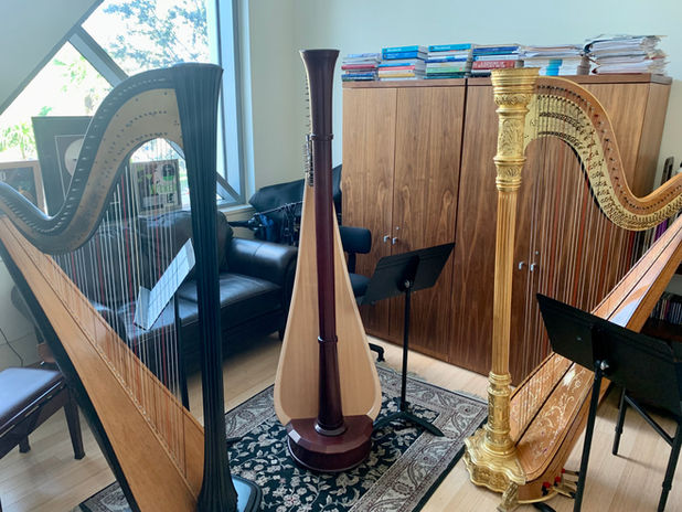 FHS 3 harps.jpeg
