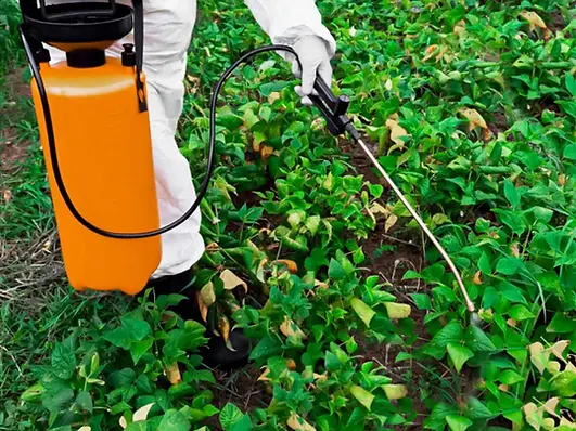 TotalGuard Yard Care: Expert weed control services in Madison, WI - effective weed removal for a healthy lawn.