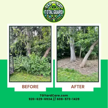 Before and after photos showing overgrown undergrowth and weeds around tree trunks on the left, completely cleared and tidied on the right by TotalGuard Yard Care in Madison WI.