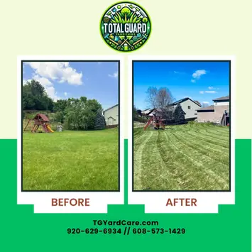 Before and after photo: A Madison, WI, lawn transformed from overgrown to perfectly striped by TotalGuard Yard Care.