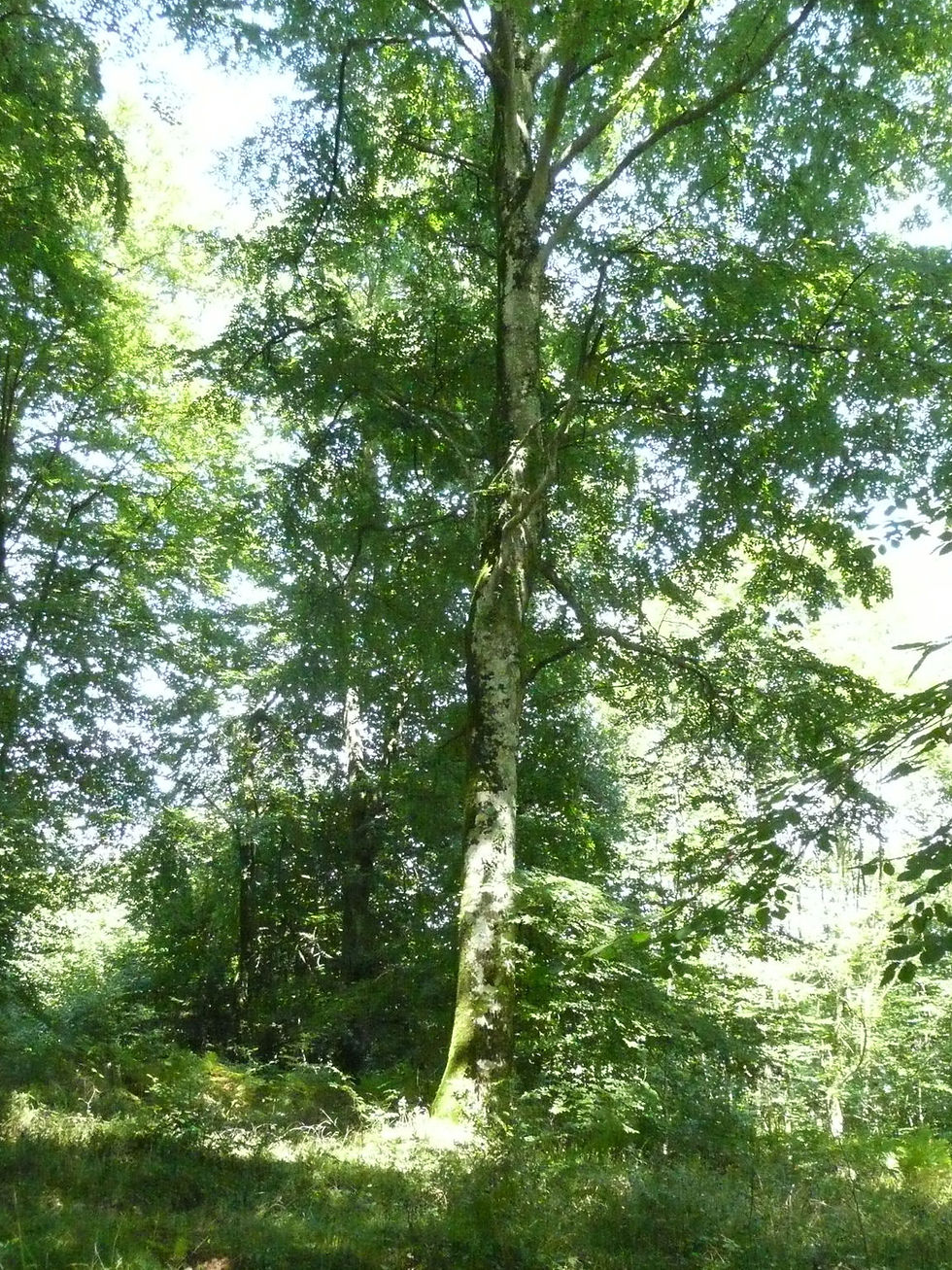 P1140467