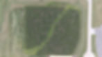 cornmaze.jpg