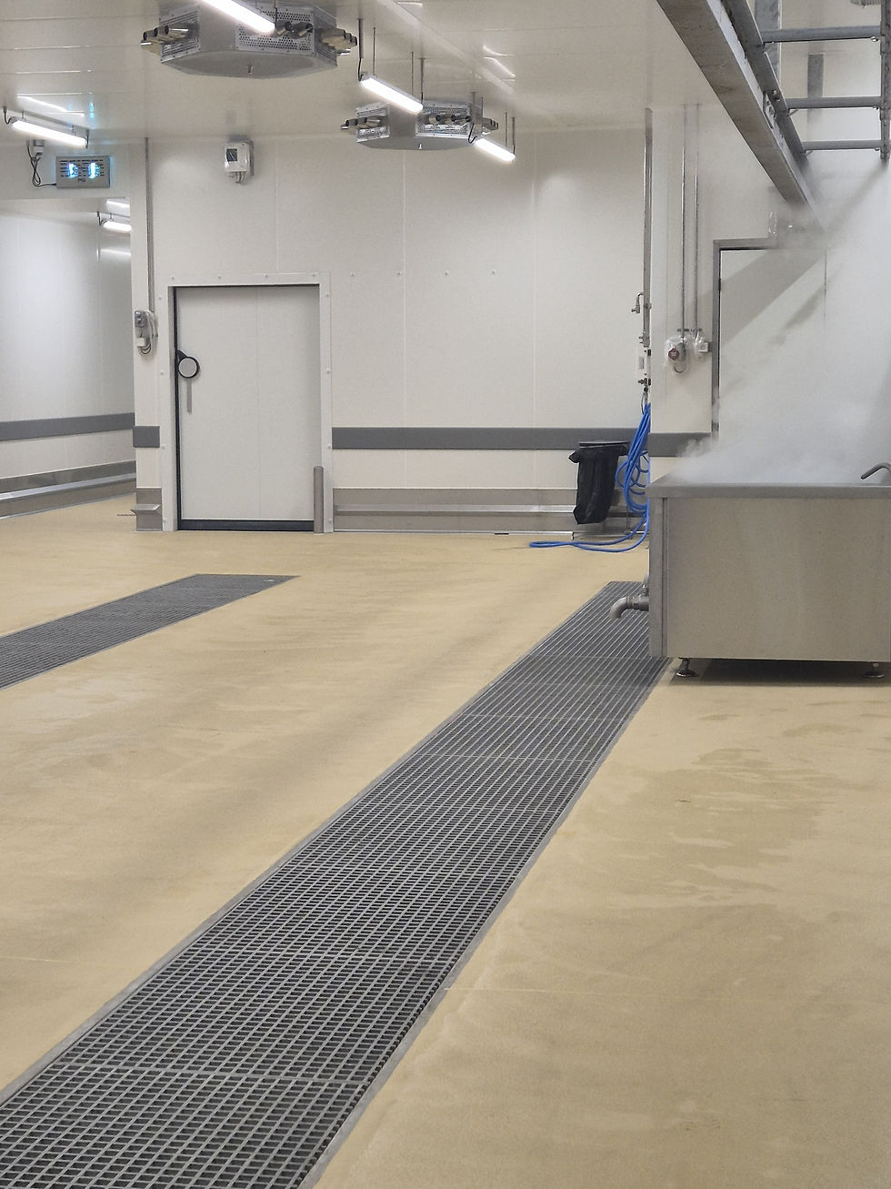 FESTINS 02-2025 CREME CANIVEAU traiteur