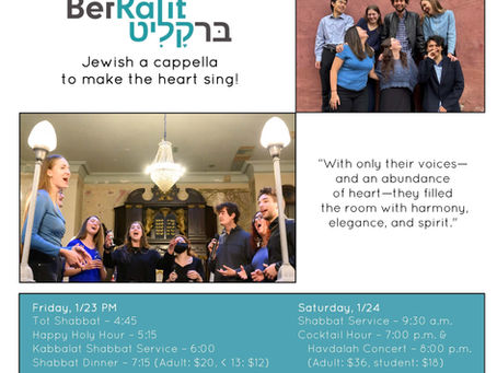 Artist in Residence - BerKalit