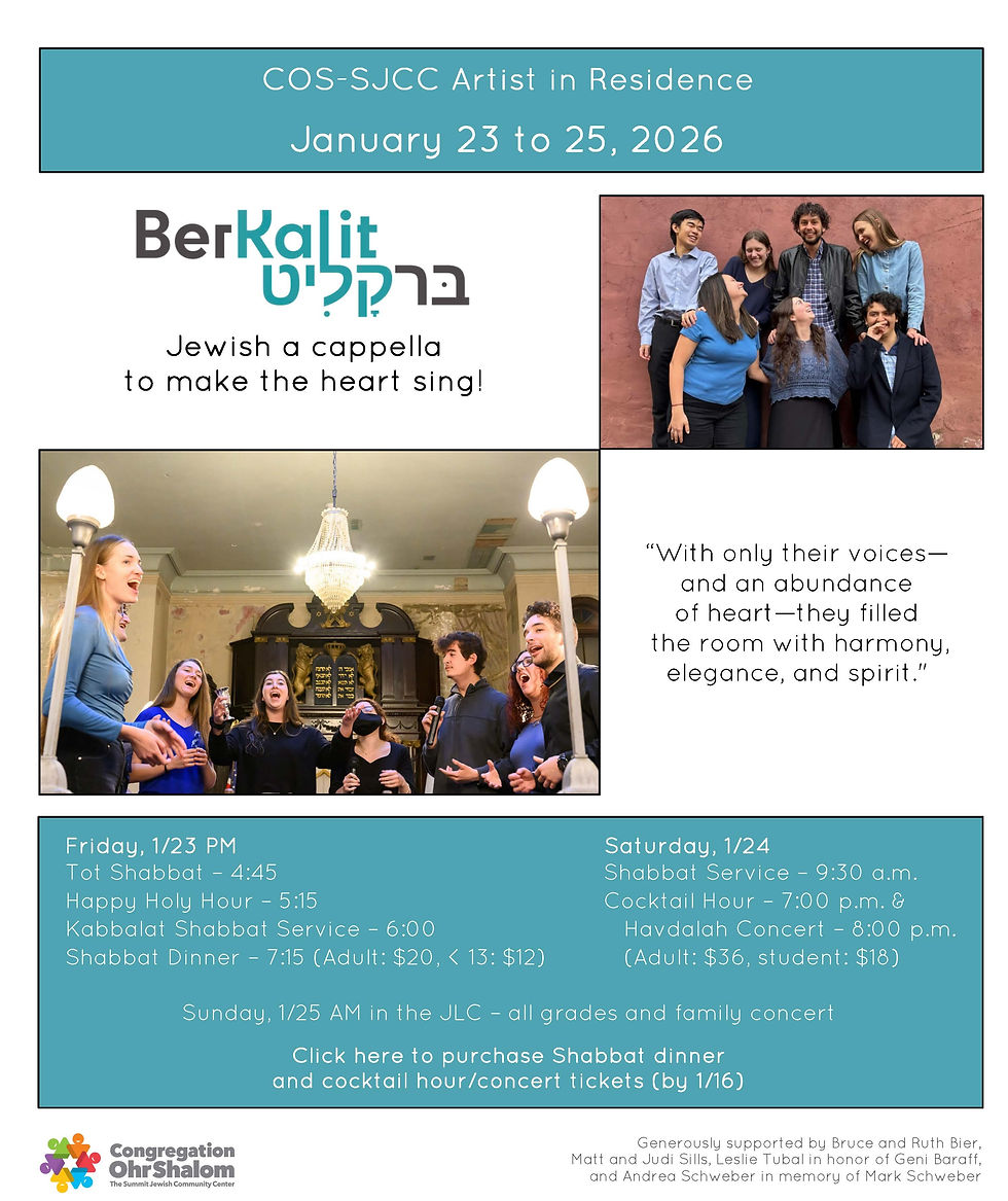 Artist in Residence - BerKalit