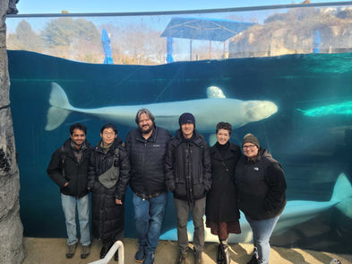 The members of the Musser Lab are standing in front of a tank with a white beluga whale swimming behind them.