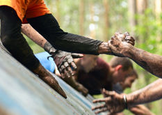 AdobeStock_213073180-min.jpeg